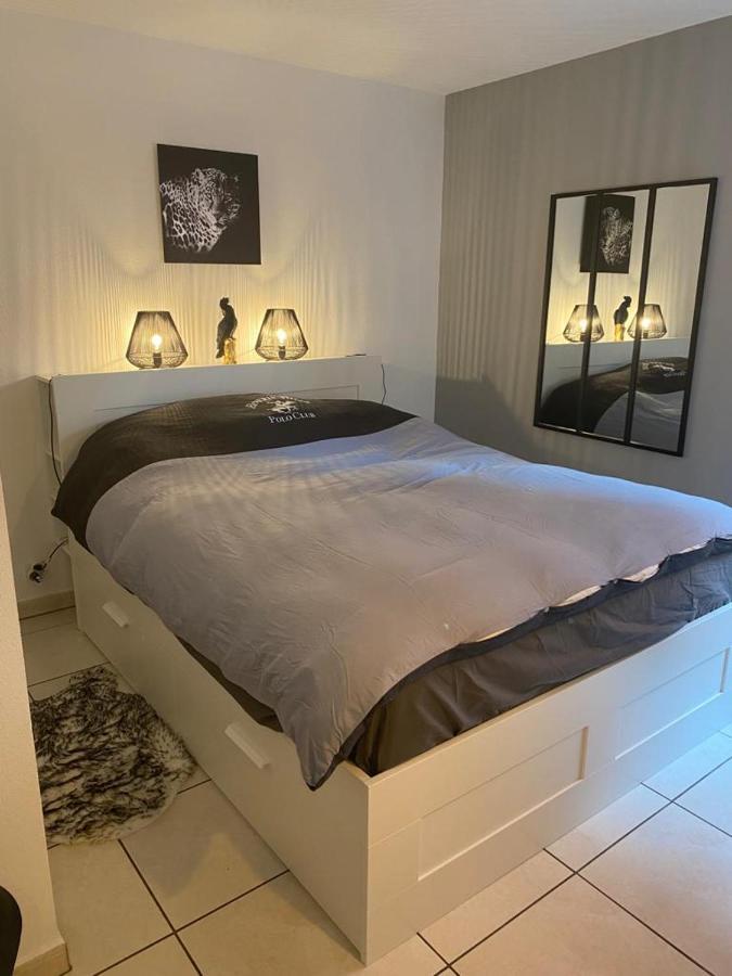 Apartment Terrimbo Cerbere